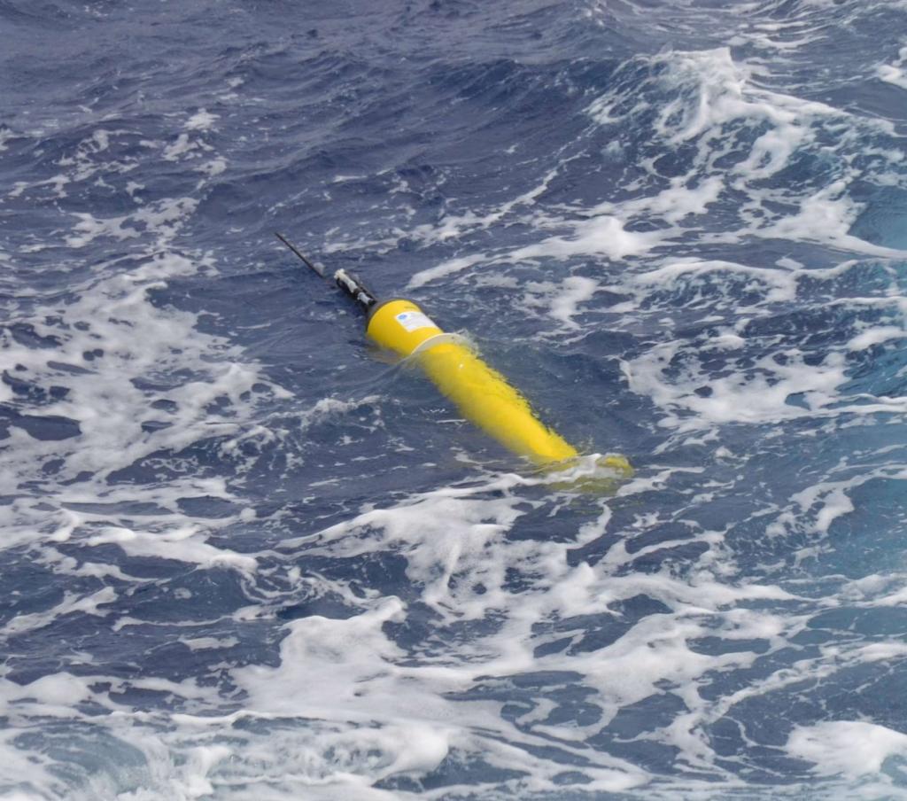 Argo float
